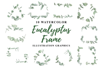 10 Watercolor Eucalyptus Frame Illustration