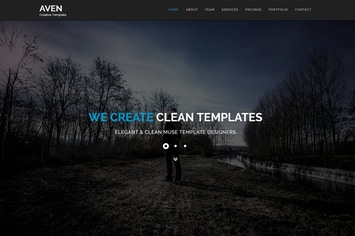 Aven - Multipurpose Parallax HTML Template