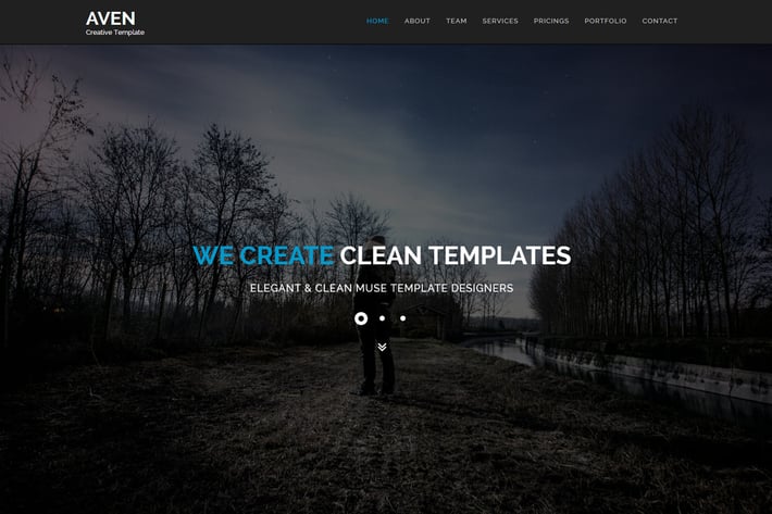 Aven - Multipurpose Parallax HTML Template