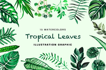 Tropical Leaves Watercolor