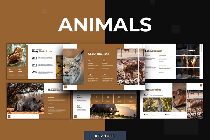 Animals - Keynote Template