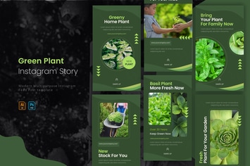 Greeny Plant | Instagram Story