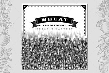 Retro Wheat Harvest Card Black And White