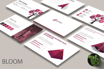 BLOOM Powerpoint 