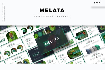 Melata - Powerpoint Template