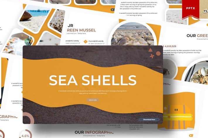 Sea Shells | Powerpoint Template