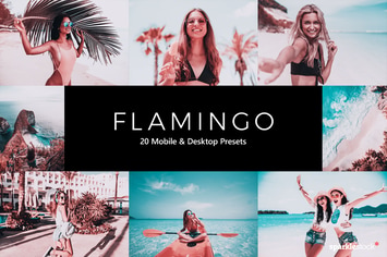 20 Flamingo Lightroom Presets & LUTs