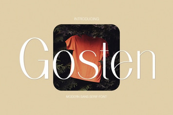 Gosten Modern Sans Serif Font