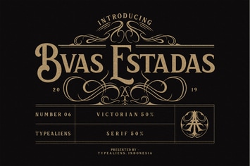 Bvas Estadas