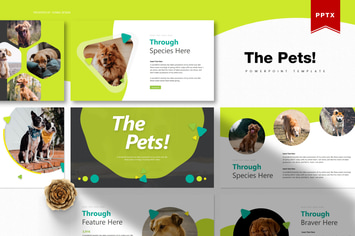 The Pets | Powerpoint Template