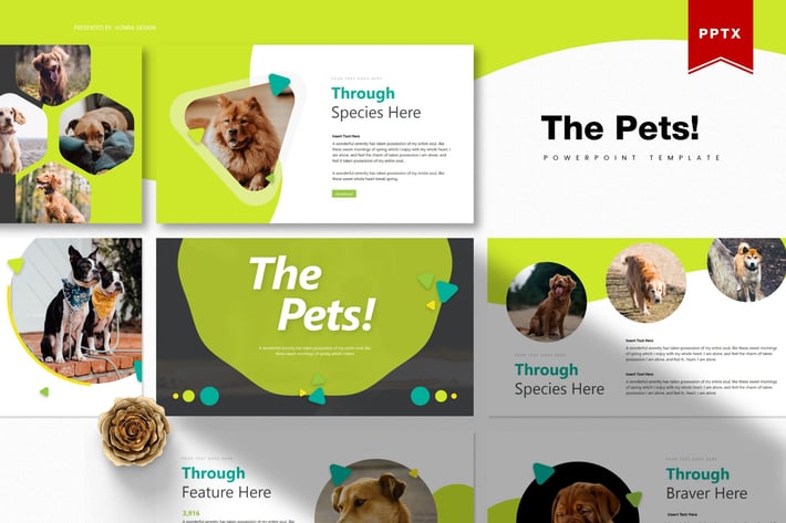 The Pets | Powerpoint Template