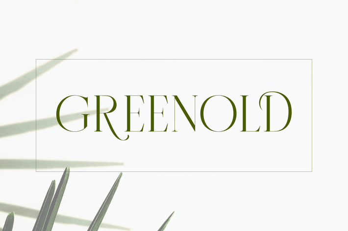Modern Thin Serif Font