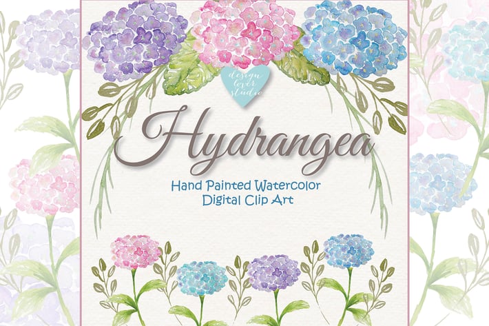 Watercolor Hydrangea clipart