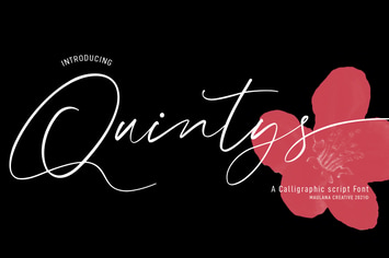 Quintys Calligraphy Script Font