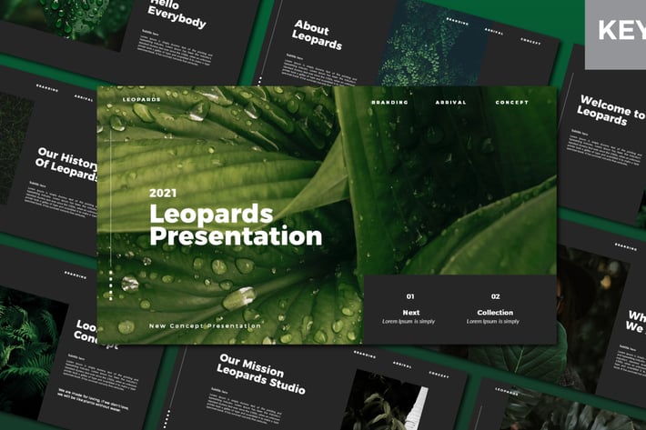 Leopards Keynote Template