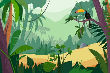 Jungle - Illustration Background