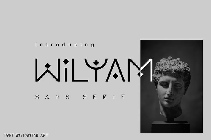 Wilyam | Modern Sans Serif font