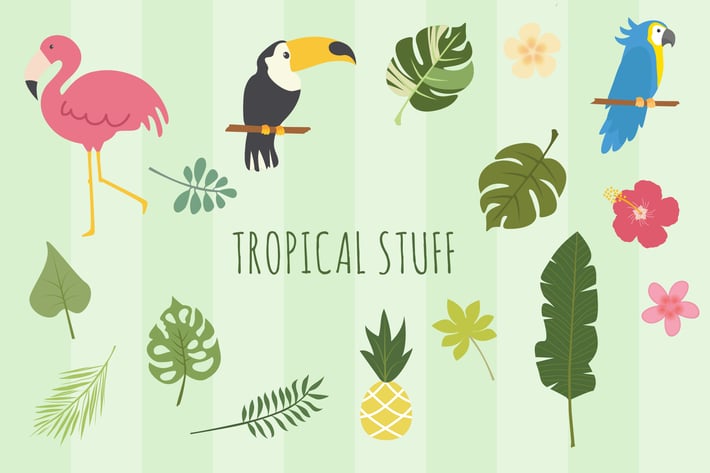 Tropical Hand Drawn