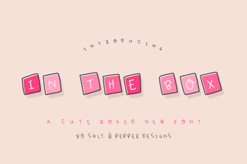 In the Box Font Family