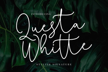Questa Whitte Script Business Font