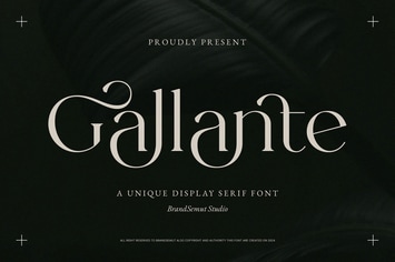 Gallante - A Unique Display Serif Font