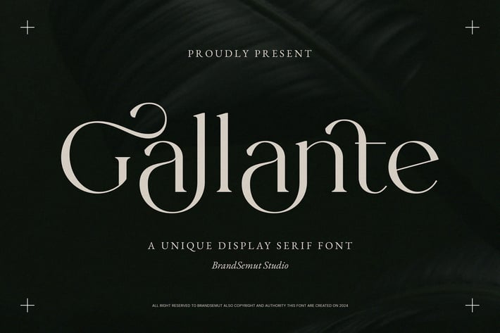 Gallante - A Unique Display Serif Font