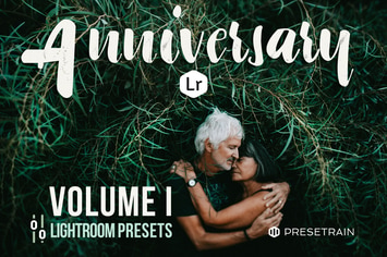 Anniversary Lightroom Presets - Volume I