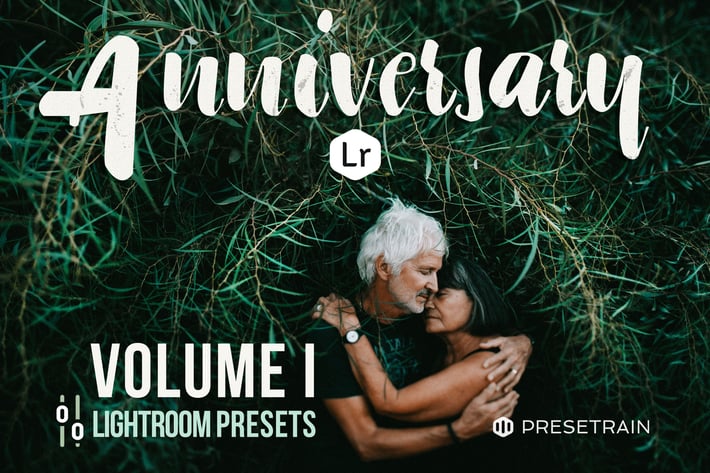 Anniversary Lightroom Presets - Volume I