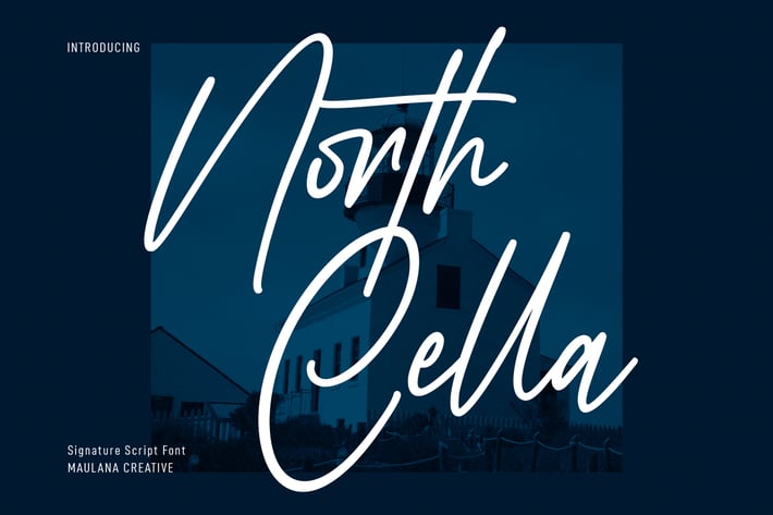 North Cella Signature Script Font