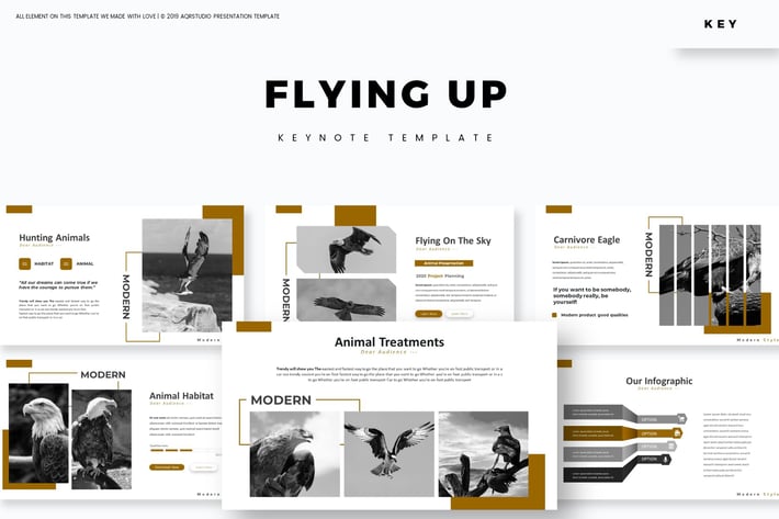 Flying Up - Keynote Template