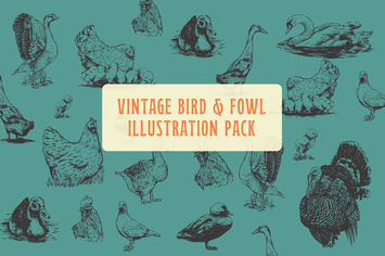 Bird and Fowl Vintage Illustration